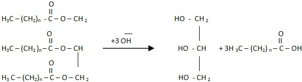 Hydrolysis of a triacylglycerol